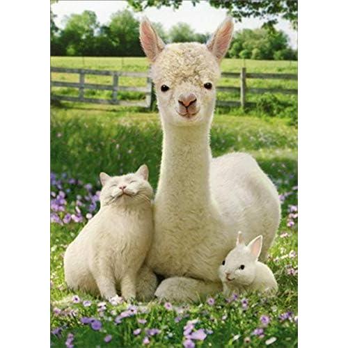 imageLlama Cat and Bunny Friends  Avanti Cute Easter Card