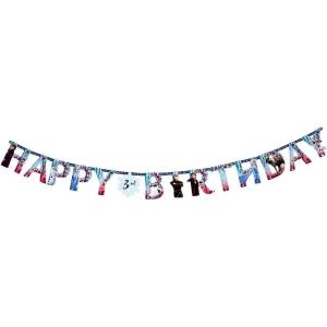 Bluey Multicolor Jumbo Add An Age Paper Letter Banner – 10″ x 10.5′ (Pack Of 1) – Perfect For Birthday Parties & Celebrations(Disney Frozen 2)