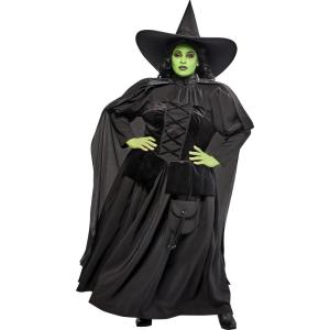 Rubies womens Wicked Witch Adult Costume(Black)