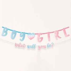 The Big Reveal Jumbo Blue & Pink Paper Letter Banner Kit – 6′ (Pack Of 2) – Perfect For Gender Reveal Party Decorations